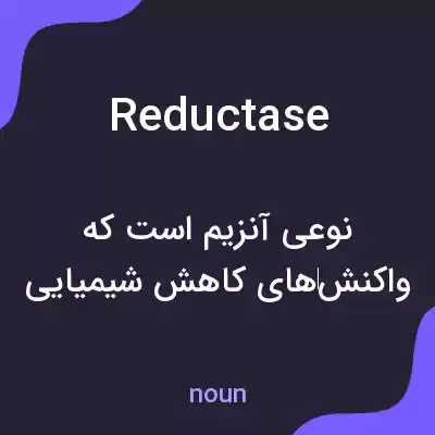 معنی reductase به فارسی معنی reductase به فارسی