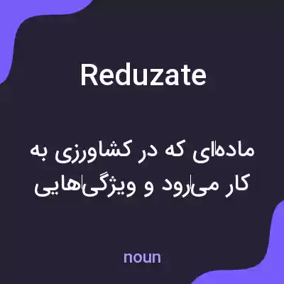 معنی reduzate به فارسی معنی reduzate به فارسی