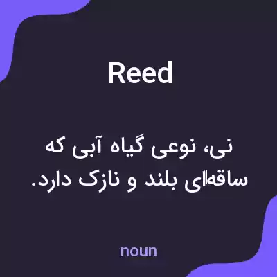 معنی reed به فارسی معنی reed به فارسی