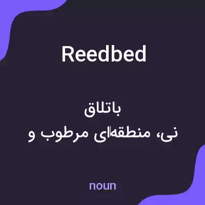 معنی reed bed به فارسی معنی reed bed به فارسی