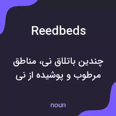 معنی reedbeds به فارسی معنی reedbeds به فارسی