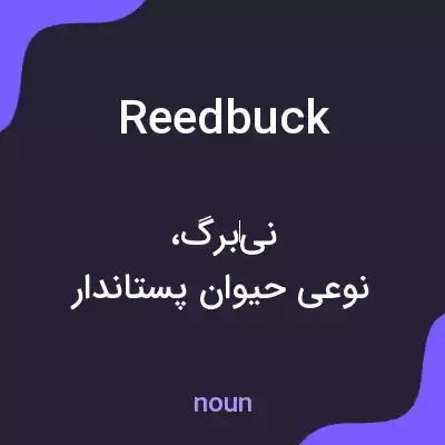 معنی reedbuck به فارسی معنی reedbuck به فارسی