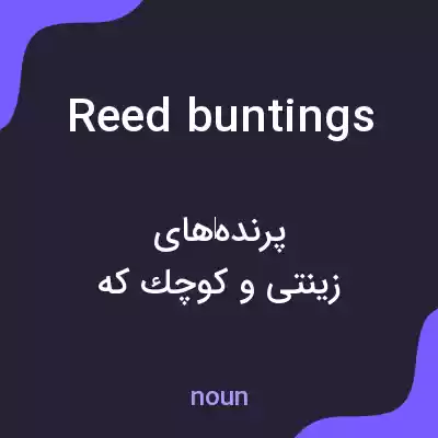 معنی reed buntings به فارسی معنی reed buntings به فارسی