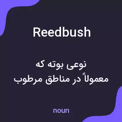معنی reedbush به فارسی معنی reedbush به فارسی