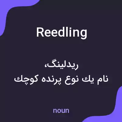 معنی reedling به فارسی معنی reedling به فارسی