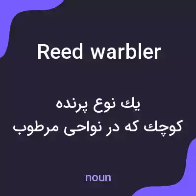 معنی reed warbler به فارسی معنی reed warbler به فارسی