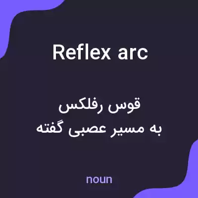 معنی reflex arc به فارسی معنی reflex arc به فارسی