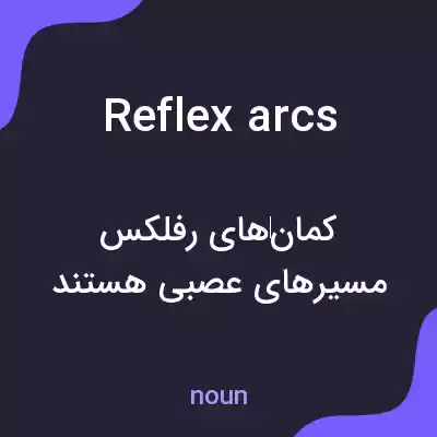 معنی reflex arcs به فارسی معنی reflex arcs به فارسی