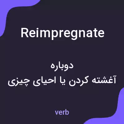 معنی reimpregnate به فارسی معنی reimpregnate به فارسی