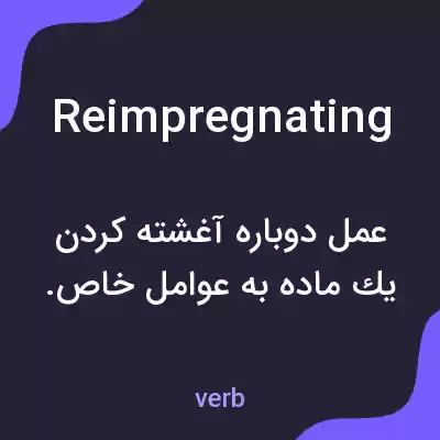 معنی reimpregnating به فارسی معنی reimpregnating به فارسی