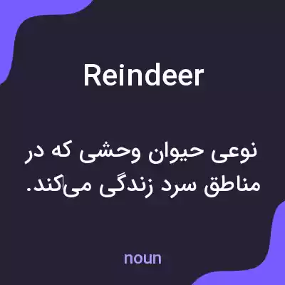 معنی reindeer به فارسی