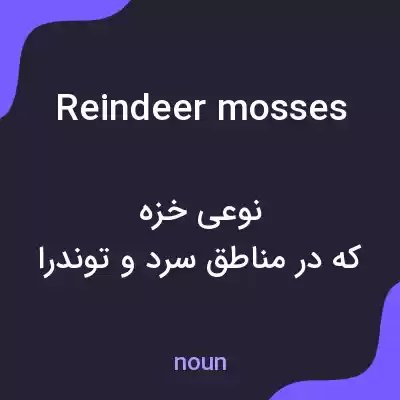 معنی reindeer mosses به فارسی معنی reindeer mosses به فارسی