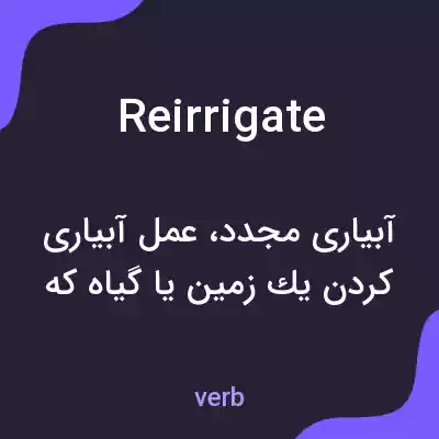 معنی reirrigate به فارسی معنی reirrigate به فارسی