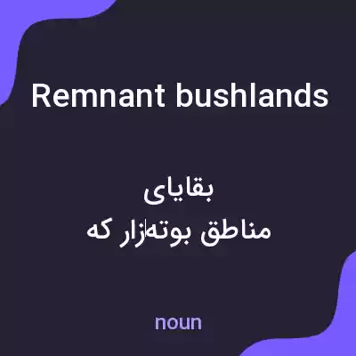 معنی remnant bushlands به فارسی معنی remnant bushlands به فارسی