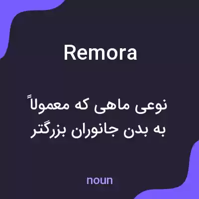 معنی remora به فارسی