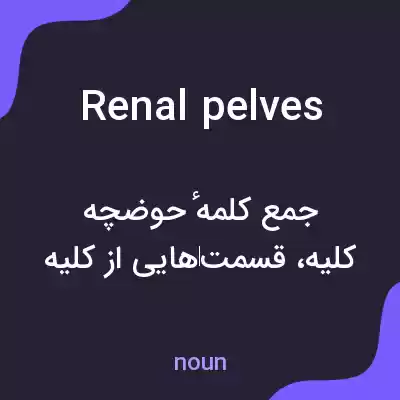 معنی renal pelves به فارسی معنی renal pelves به فارسی