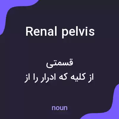 معنی renal pelvis به فارسی معنی renal pelvis به فارسی