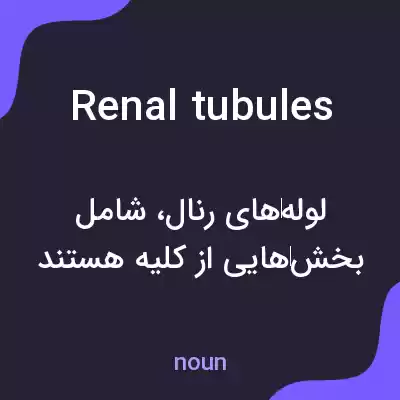 معنی renal tubules به فارسی