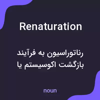معنی renaturation به فارسی معنی renaturation به فارسی