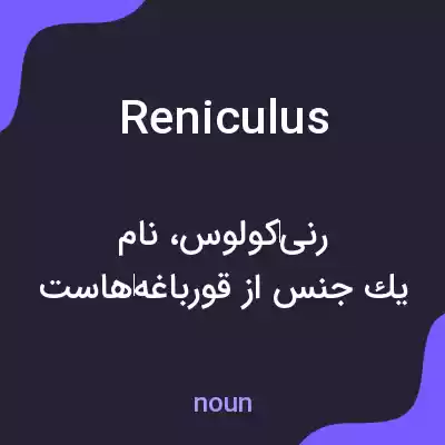 معنی reniculus به فارسی معنی reniculus به فارسی