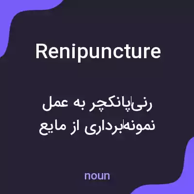 معنی renipuncture به فارسی معنی renipuncture به فارسی