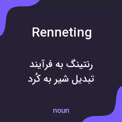 معنی renneting به فارسی معنی renneting به فارسی