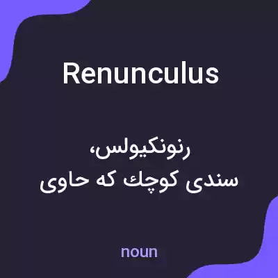 معنی renunculus به فارسی معنی renunculus به فارسی