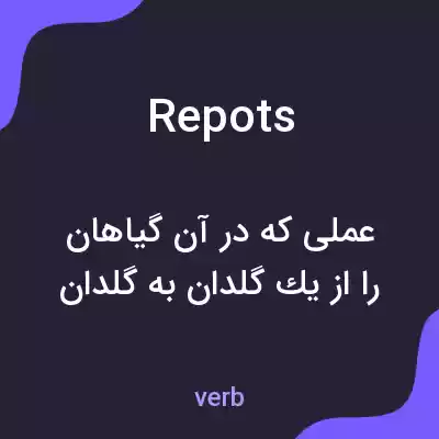 معنی repots به فارسی معنی repots به فارسی
