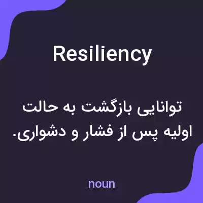 معنی resiliency به فارسی