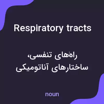 معنی respiratory tracts به فارسی معنی respiratory tracts به فارسی