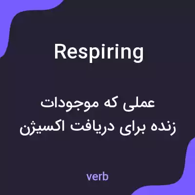 معنی respiring به فارسی معنی respiring به فارسی