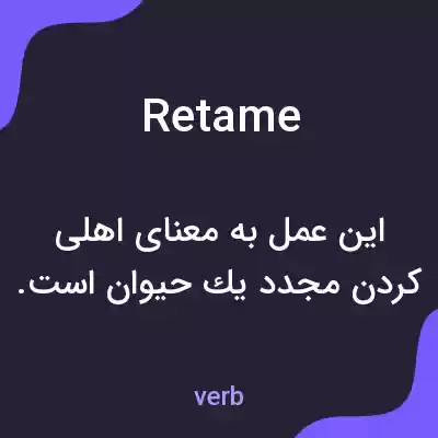 معنی retame به فارسی معنی retame به فارسی