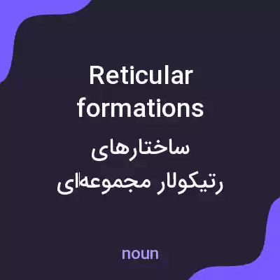 معنی reticular formations به فارسی معنی reticular formations به فارسی