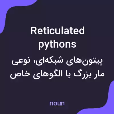 معنی reticulated pythons به فارسی معنی reticulated pythons به فارسی