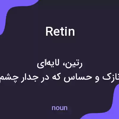 معنی retin به فارسی معنی retin به فارسی