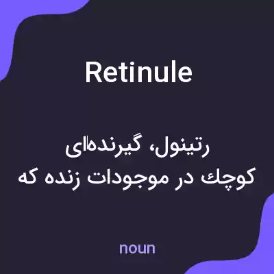 معنی retinule به فارسی معنی retinule به فارسی