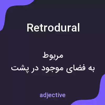 معنی retrodural به فارسی معنی retrodural به فارسی