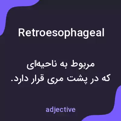 معنی retroesophageal به فارسی معنی retroesophageal به فارسی