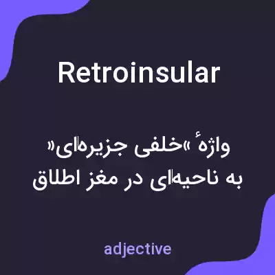 معنی retroinsular به فارسی معنی retroinsular به فارسی