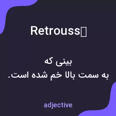 معنی retroussé به فارسی معنی retroussé به فارسی