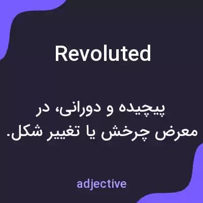 معنی revoluted به فارسی معنی revoluted به فارسی