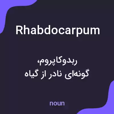 معنی rhabdocarpum به فارسی معنی rhabdocarpum به فارسی