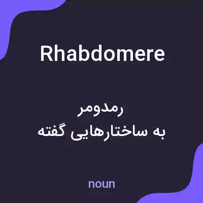 معنی rhabdomere به فارسی معنی rhabdomere به فارسی