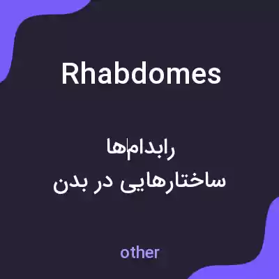 معنی rhabdomes به فارسی معنی rhabdomes به فارسی