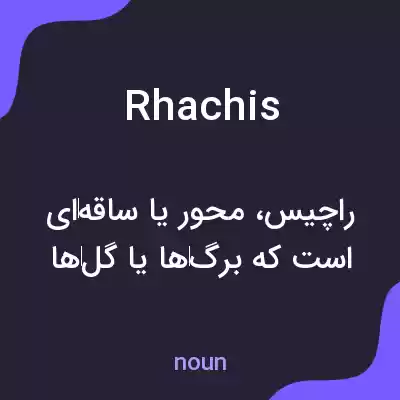 معنی rhachis به فارسی معنی rhachis به فارسی