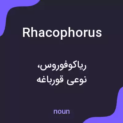 معنی rhacophorus به فارسی معنی rhacophorus به فارسی