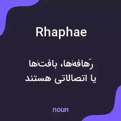 معنی rhaphae به فارسی معنی rhaphae به فارسی