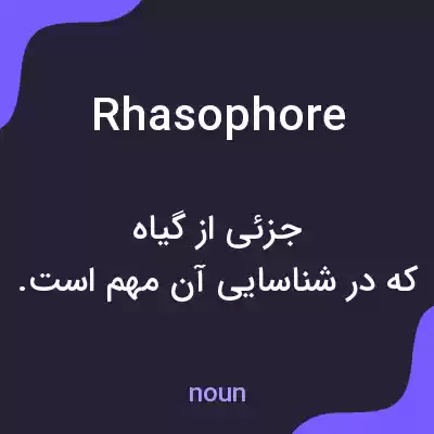 معنی rhasophore به فارسی معنی rhasophore به فارسی