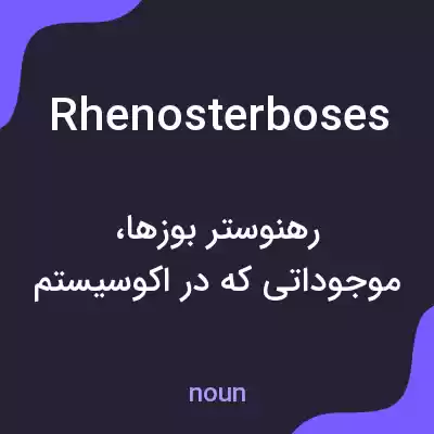 معنی rhenosterboses به فارسی معنی rhenosterboses به فارسی