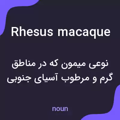 معنی rhesus macaque به فارسی معنی rhesus macaque به فارسی